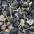 /msite/products/detail/productid/56143470/id/542688.html